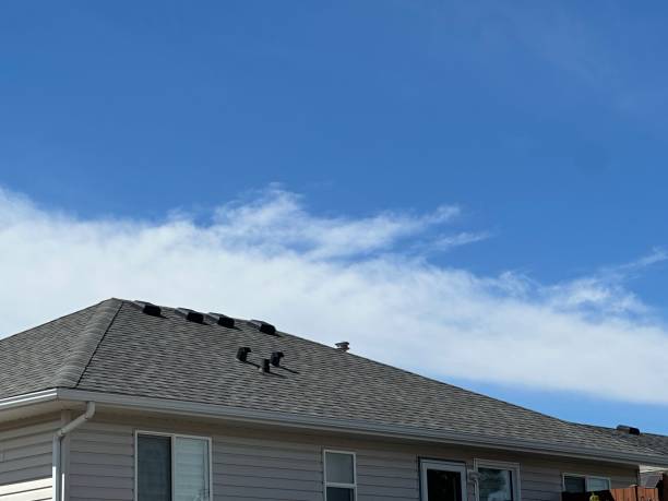 Best Gutter Installation and Repair  in South Bloomfield, OH